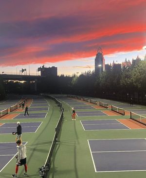 Image post by @thepickleballclinic on Instagram