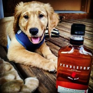 Image post by @pendletonwhisky on Instagram