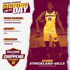 Image post by @cmuwbball on Instagram