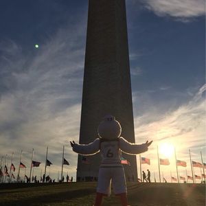 Image post by @um_sebastian on Instagram