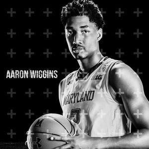 Image post by @terrapinhoops on Instagram