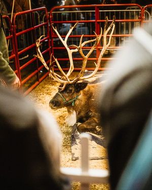 Image post by @VisitChatt on Facebook