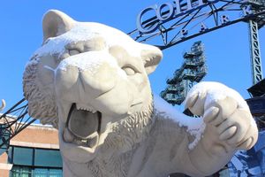 Image post by @ballysportsdet on Instagram