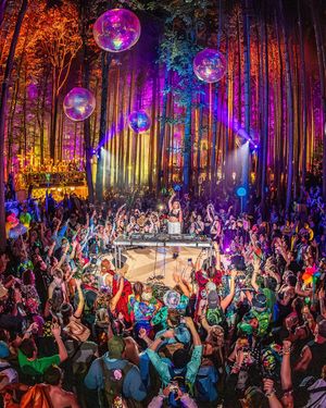 Image post by @electric_forest on Instagram