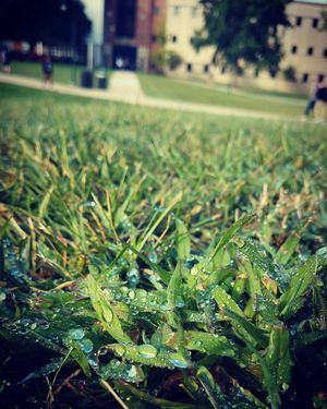 Image post by @shippensburgu on Instagram