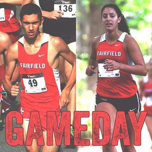 Image post by @fairfieldstags on Instagram