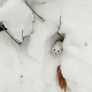Image post by @nationalparkservice on Instagram