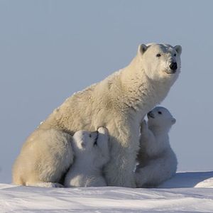 Image post by @discovery on Instagram