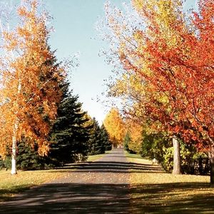 Image post by @fargoparks on Instagram