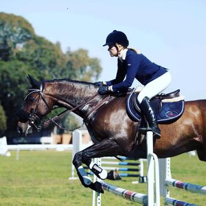 Image post by @snaffle_it on Instagram
