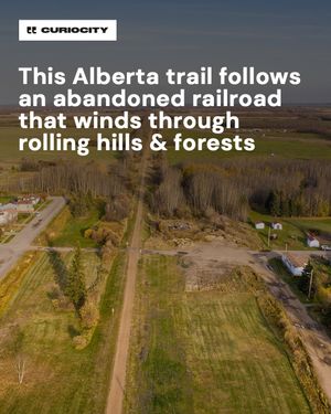 Image post by @curiocitycalgary on Instagram