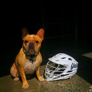 Image post by @cascade_lacrosse on Instagram