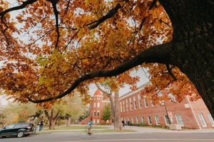 Image post by @nauflagstaff on Instagram
