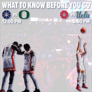 Image post by @zonazooofficial on Instagram