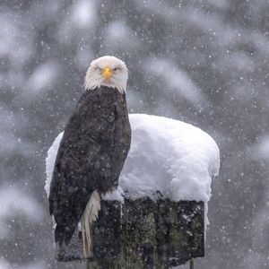 Image post by @nationalparkservice on Instagram