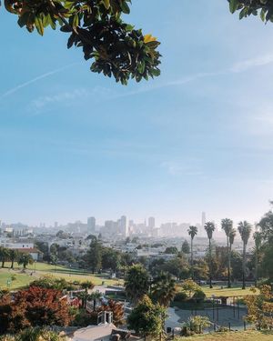 Image post by @onlyinsf on Instagram