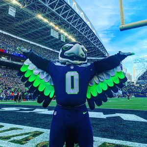 Image post by @blitztheseahawk on Instagram