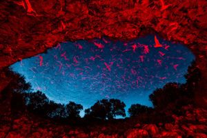 Image post by @natgeo on Instagram