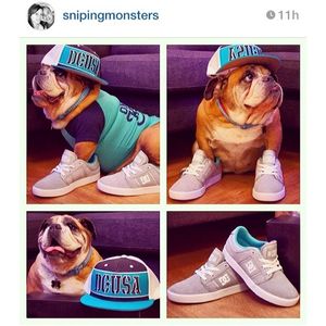 Image post by @robdyrdek on Instagram