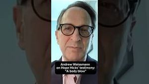 Video post by @msnbc on YouTube
