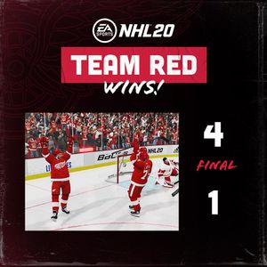 Image post by @detroitredwings on Instagram