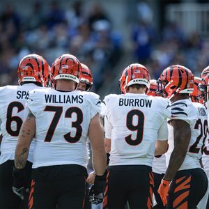 Image post by @bengals on Instagram