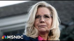 Video post by @msnbc on YouTube
