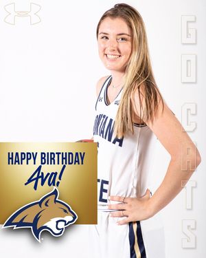 Image post by @msubobcatswbb on Instagram