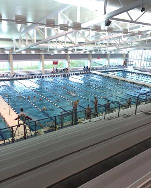 Image post by @ithacaswimdive on Instagram