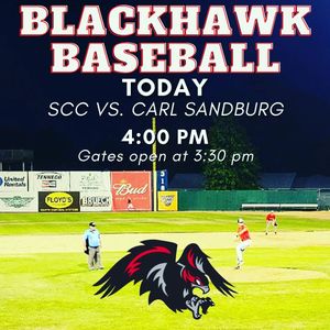 Image post by @burlington_bees on Instagram
