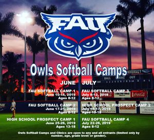 Image post by @fausoftball on Instagram