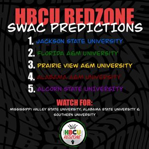 Image post by @hbcuredzone on Instagram