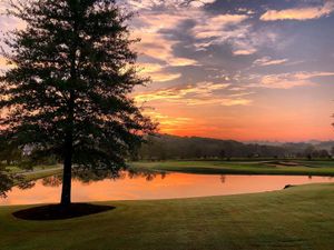 Image post by @tgfjuniorgolf on Instagram
