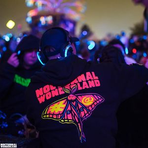 Image post by @nocturnalwland on Instagram