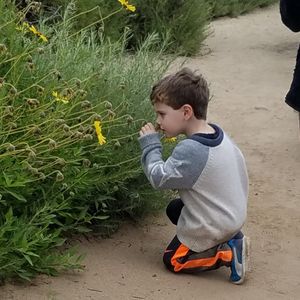 Image post by @kidsgardening on Instagram