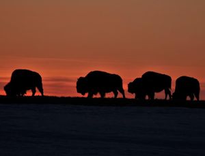 Image post by @nationalparkservice on Instagram