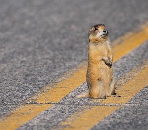 Image post by @nationalparkservice on Instagram