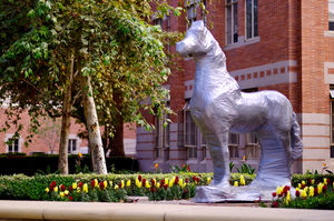 Image post by @annenbergmedia on Instagram