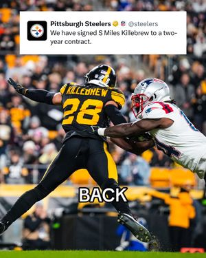 Image post by @steelers on TikTok