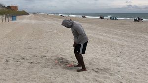 Image post by @t_will_train on Instagram
