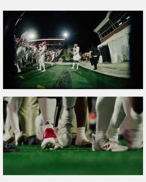 Image post by @stegnermedia on Instagram