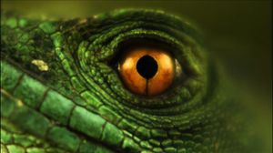 Image post by @discovery on Instagram