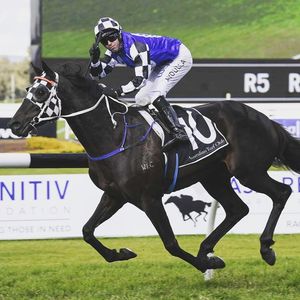 Image post by @australianturfclub on Instagram