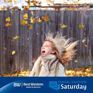 Image post by @bestwestern on Instagram