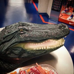 Image post by @floridagators on Instagram