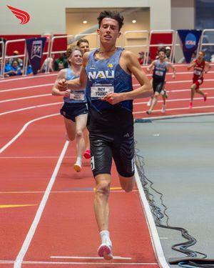 Image post by @dyestat on Instagram