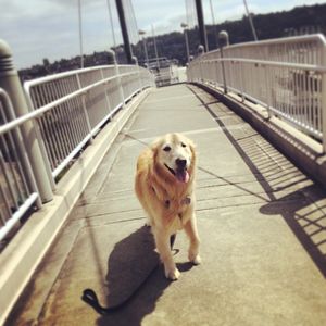 Image post by @amandakl on Instagram