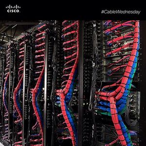 Image post by @cisco on Instagram