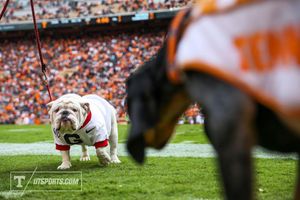 Image post by @vol_photos on Instagram