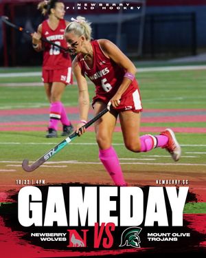 Image post by @newberrysports on Instagram